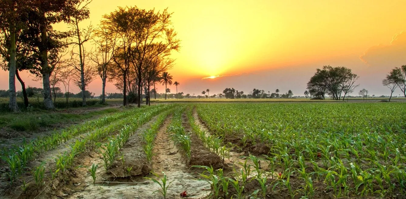 Punjab Journey